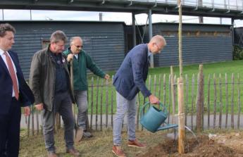 Un poirier frambaldéen planté dans les jardins d'Éole 11 Octobre 2019