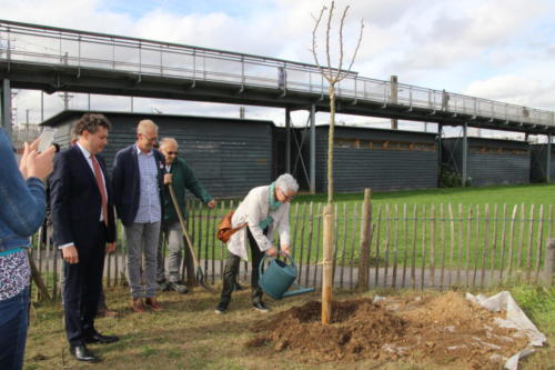 Un poirier frambaldéen planté dans les jardins d'Éole 11 Octobre 2019